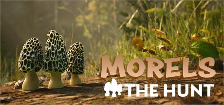 《羊肚菌：狩猎 Morels: The Hunt》中文版百度云迅雷下载